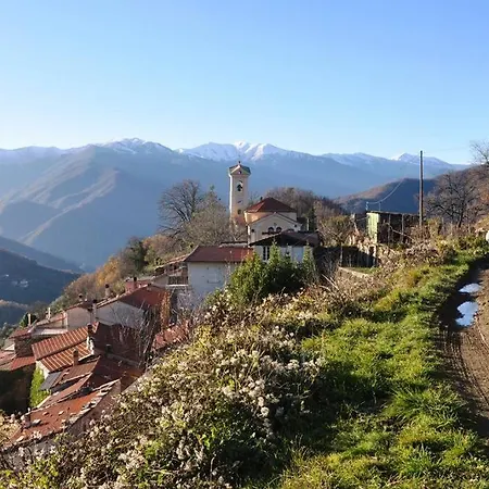 Cozy Hillside Getaway, Spectacular View